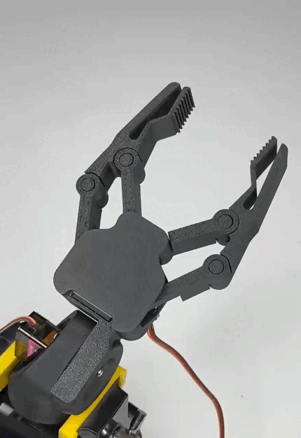 Claw Print in Place