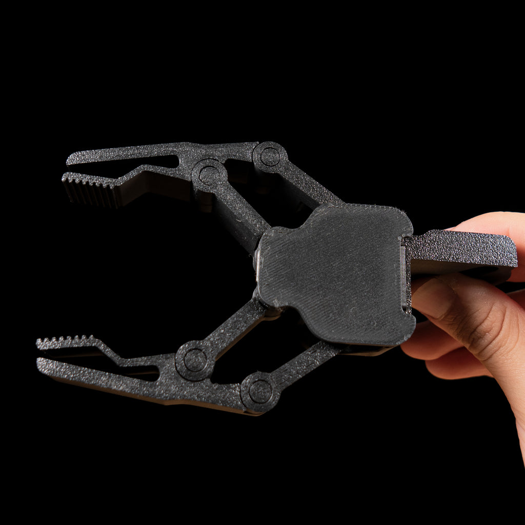 Claw Print in Place